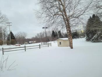 grounds