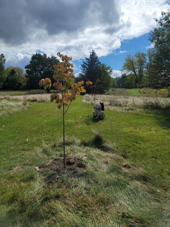 memorial garden