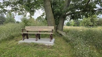 bench