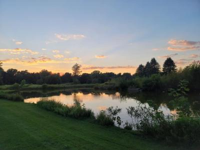 sunset over the pond