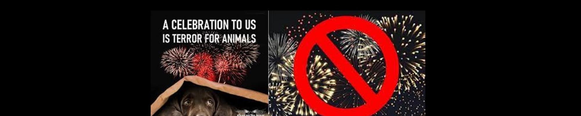 no to fireworks