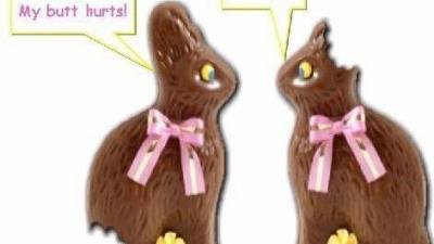chocolat bunnies